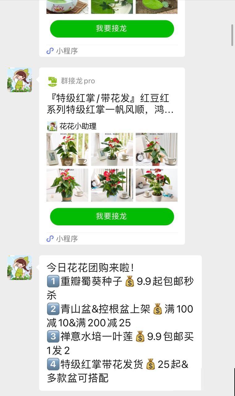 想找一个晒花、聊天的群，赶紧来看看这篇文章！