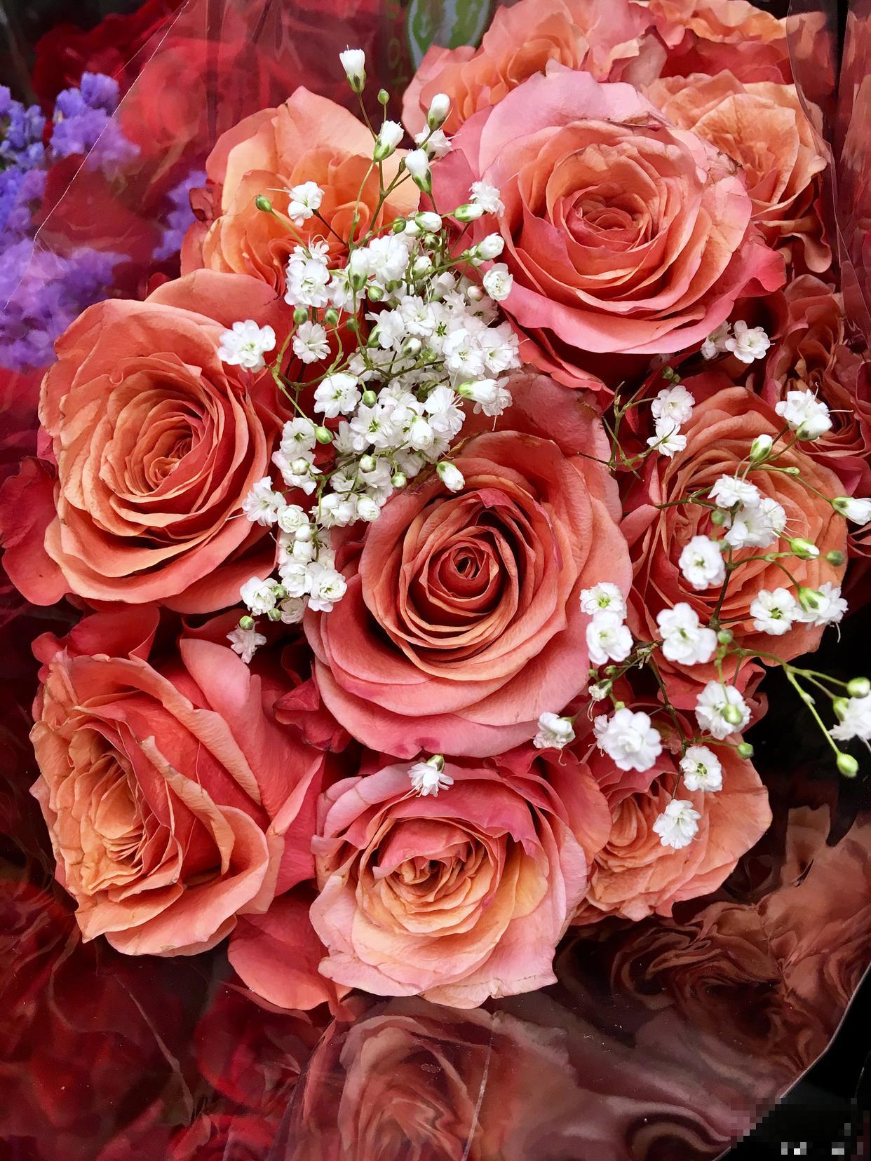 花店的鲜花怎么保鲜