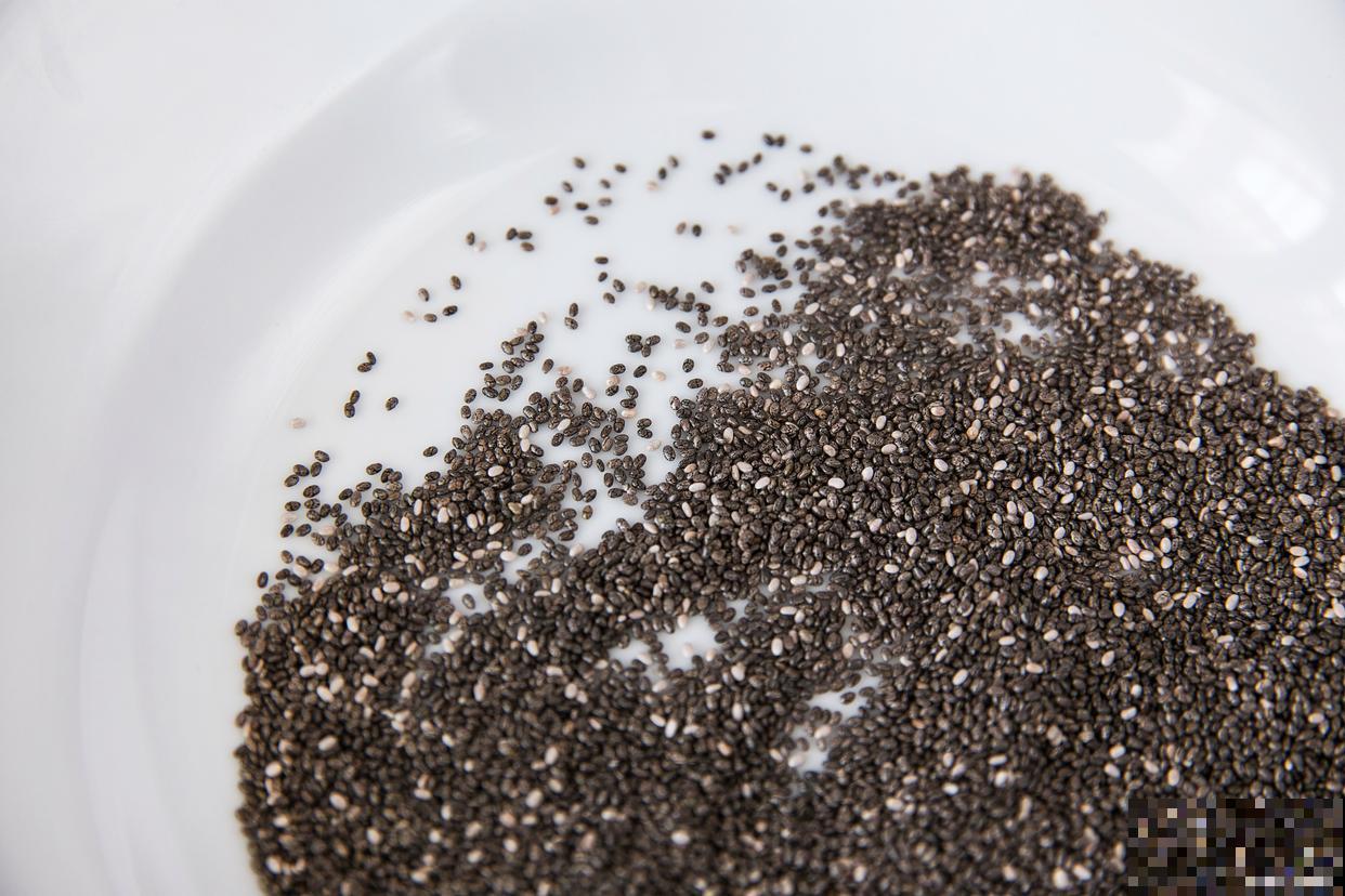 满天星种植方法和时间 满天星种植方法和时间