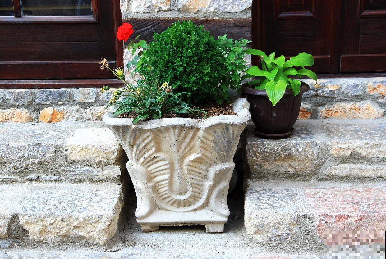 大花盆怎么换土? 大花盆怎么换土?