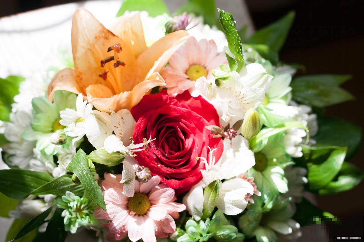 花店的鲜花怎么保鲜