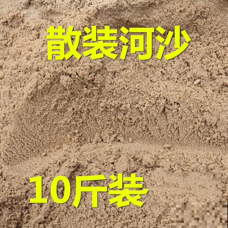 小仙女盆栽养殖，记住这4点，养殖没问题