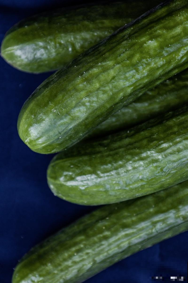 春天种植的蔬菜有哪些 春天种植的蔬菜有哪些