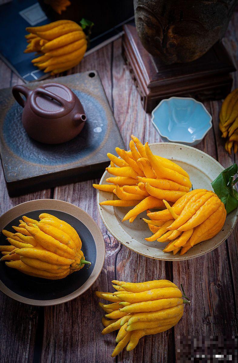 观果的植物有哪些