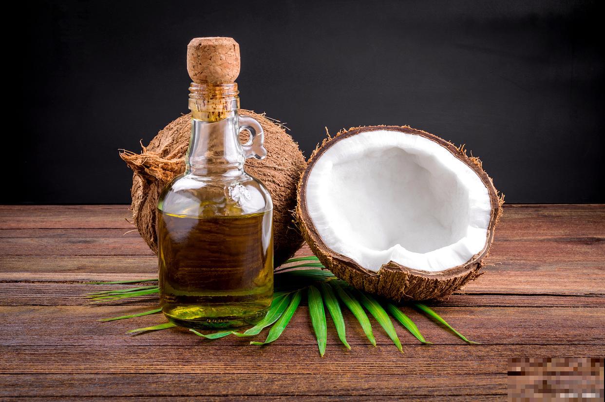 棕榈植物有哪些？