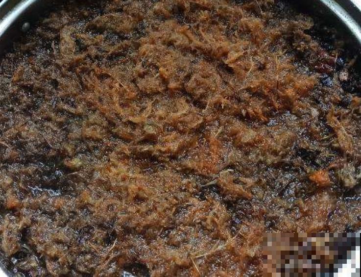 常见的养花水苔不要扔，主要有这2种用法，养花效果好