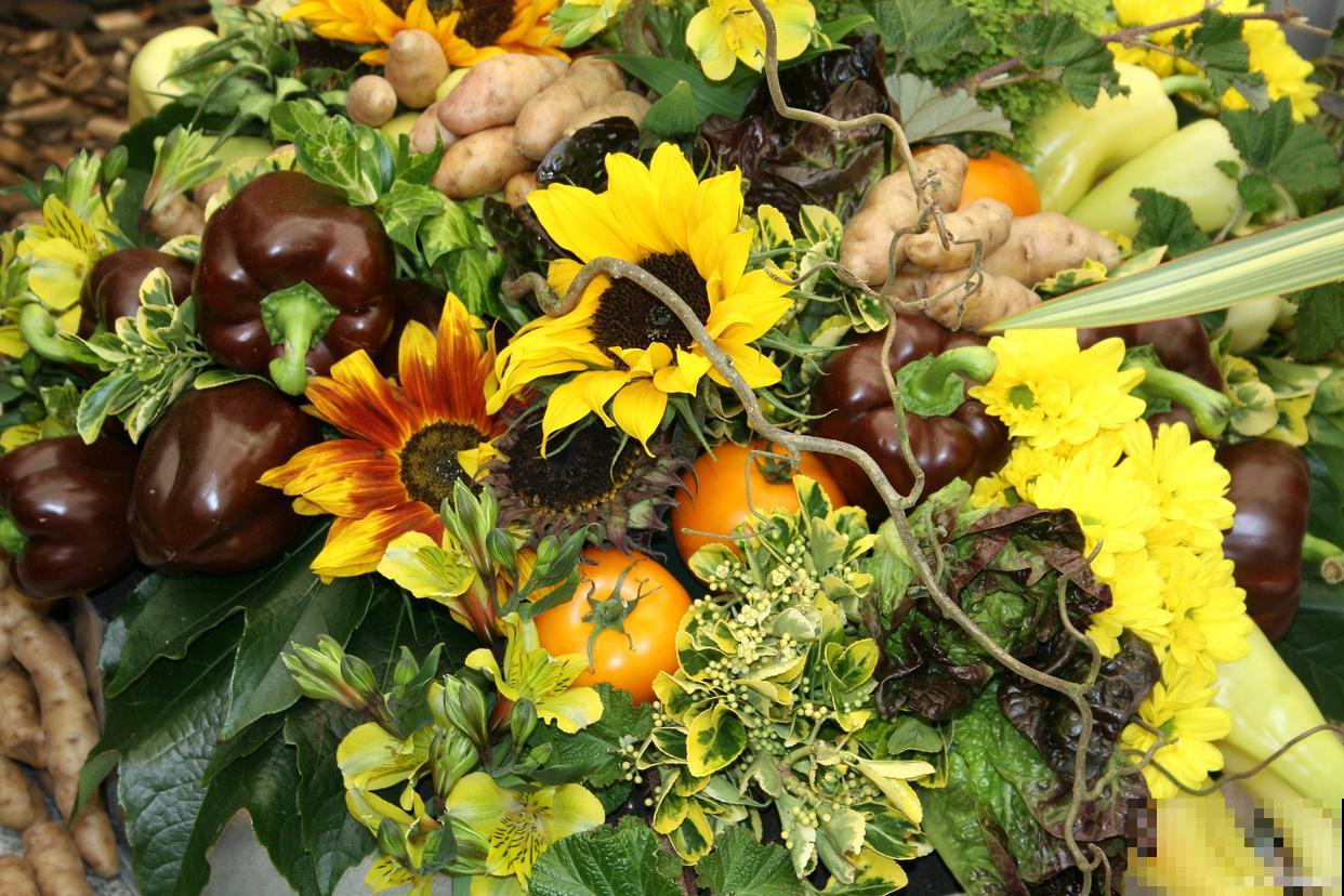 草木灰适合种什么花