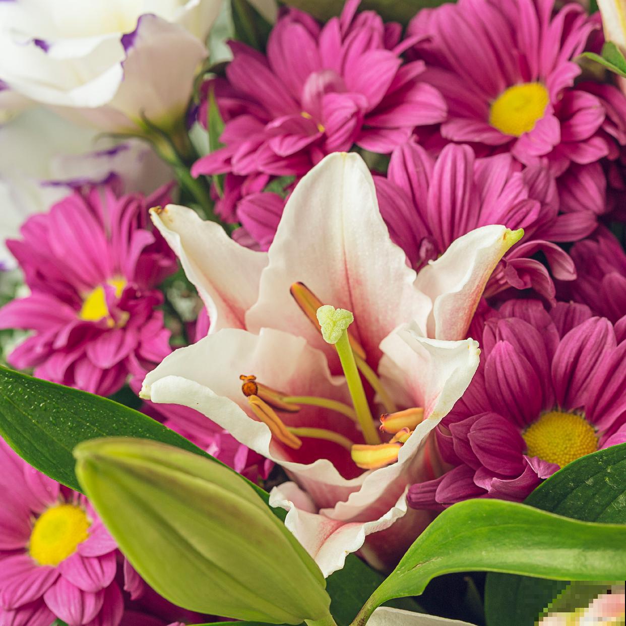 花店的鲜花怎么保鲜