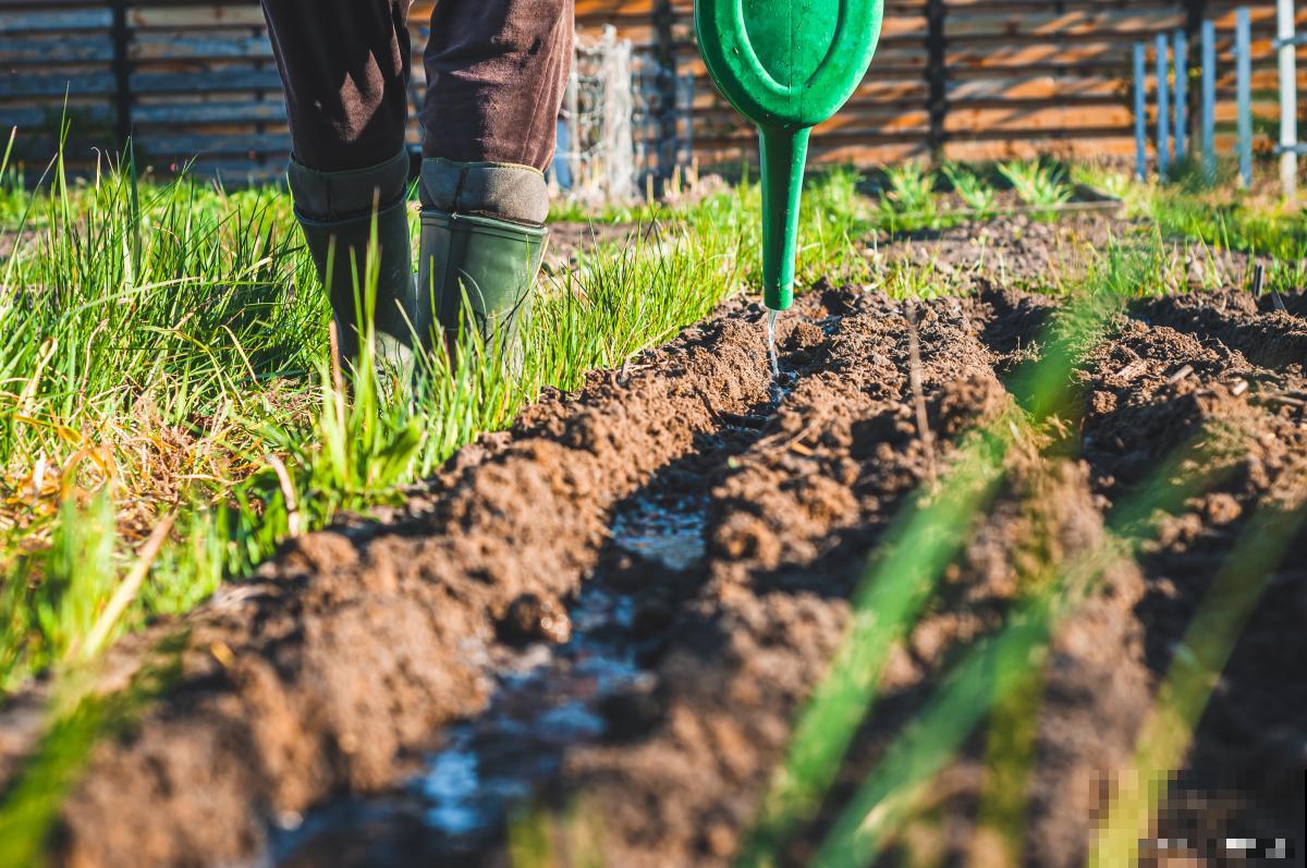 花施肥多了怎么办 花施肥多了怎么办