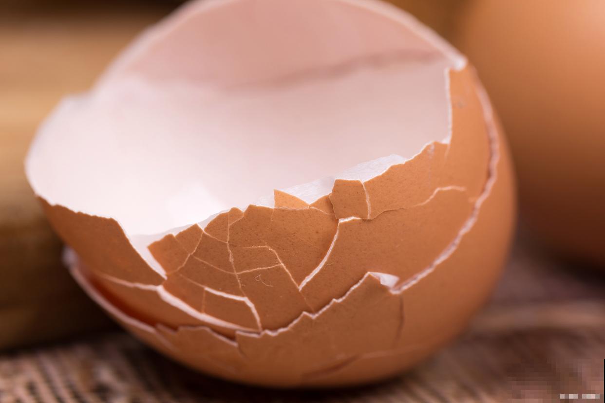 鸡蛋壳适合哪些植物