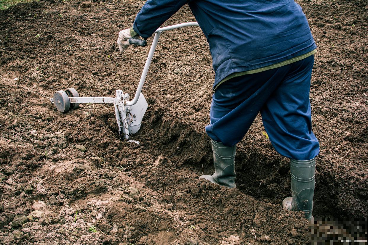 怎么松土?松土的方式 怎么松土?松土的方式