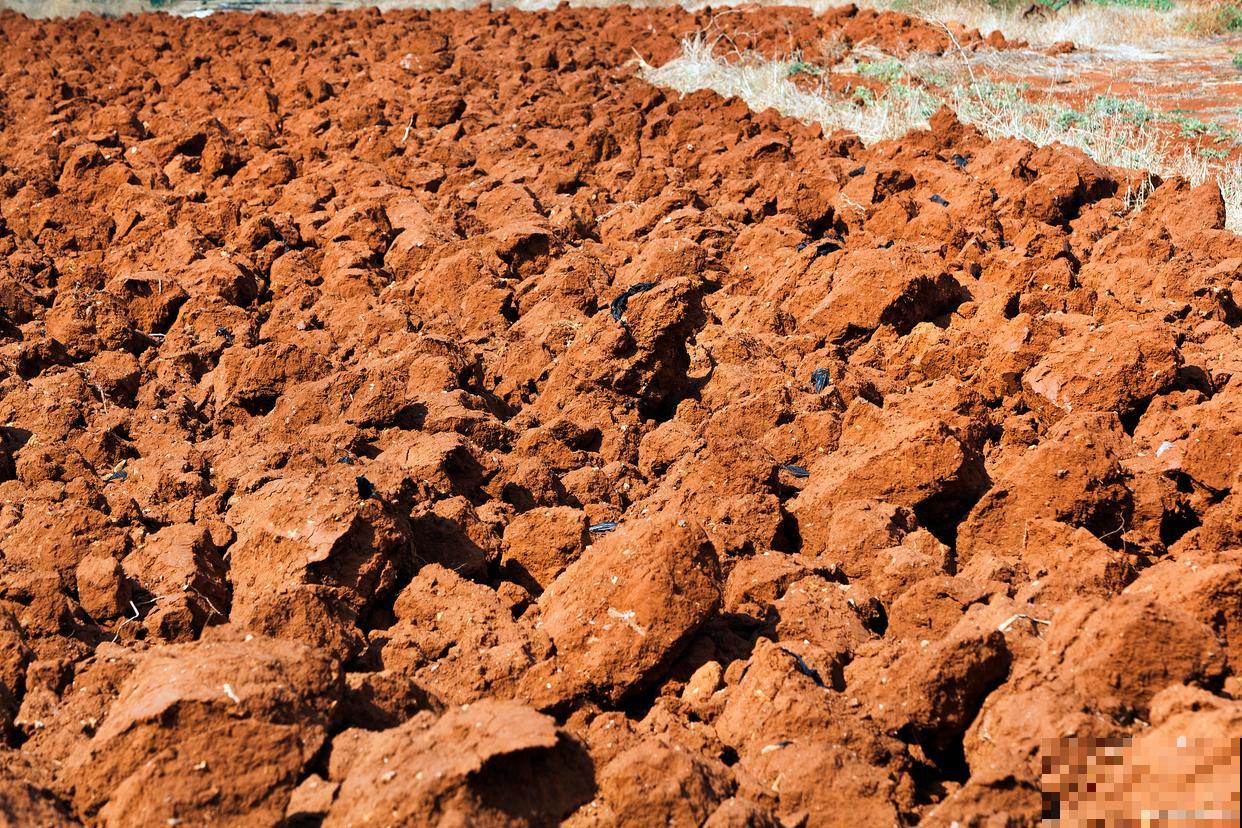 碱性土有哪些种类