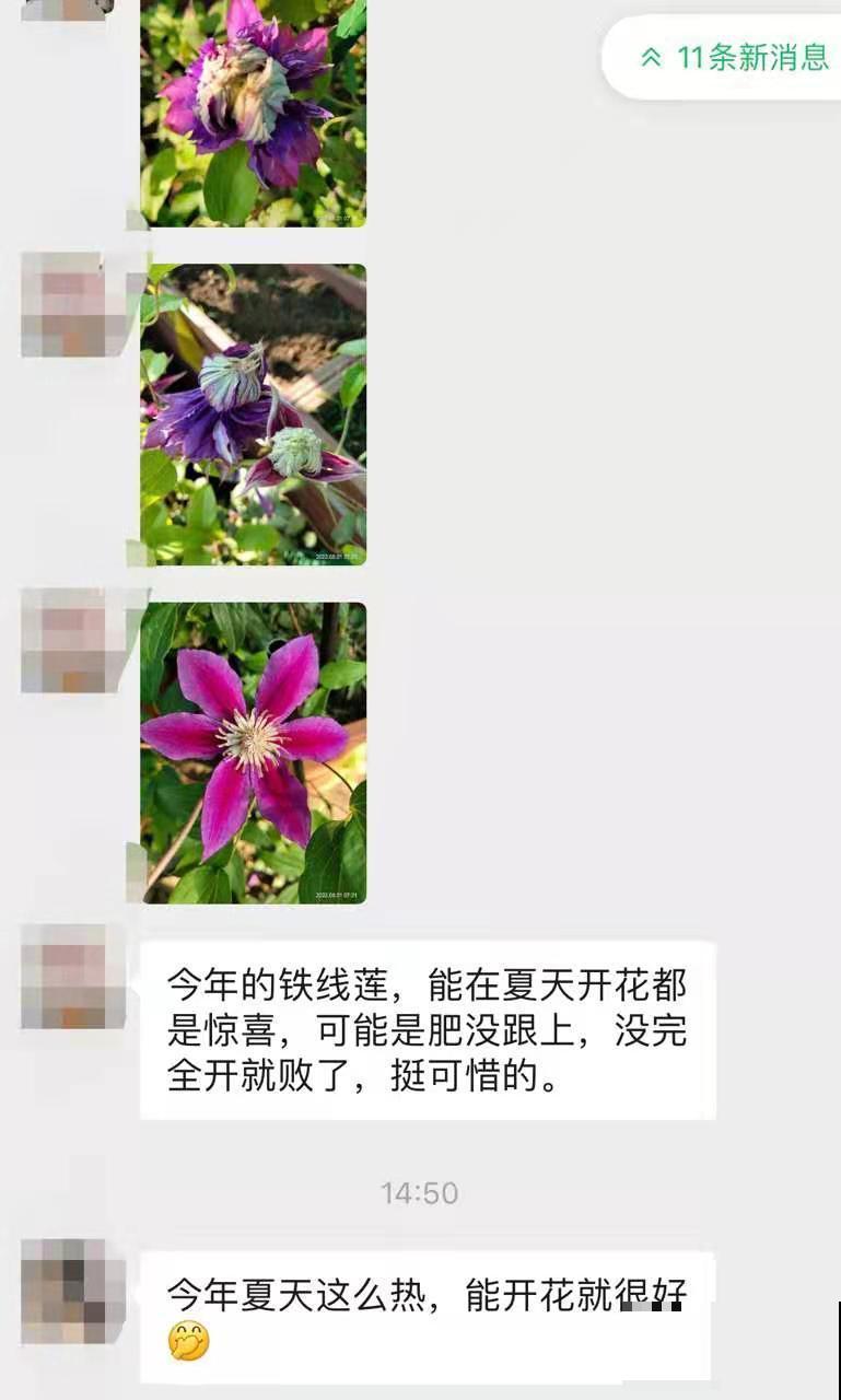 想找一个晒花、聊天的群，赶紧来看看这篇文章！