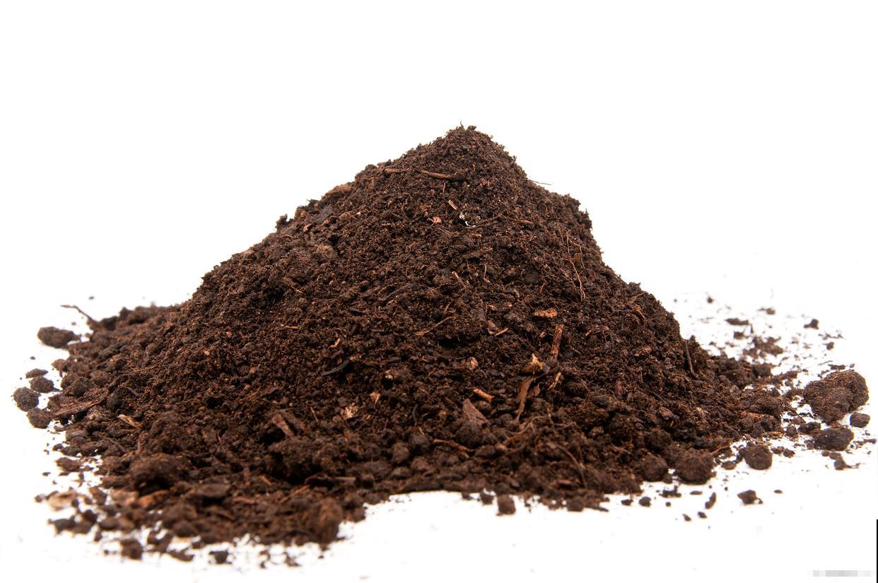 柿子树用什么肥料最好