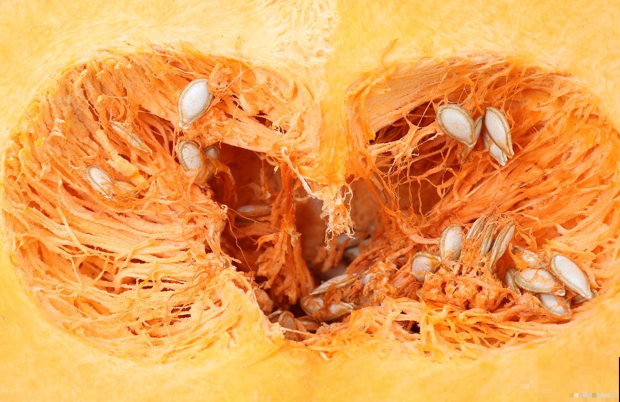 南瓜种子怎么催芽