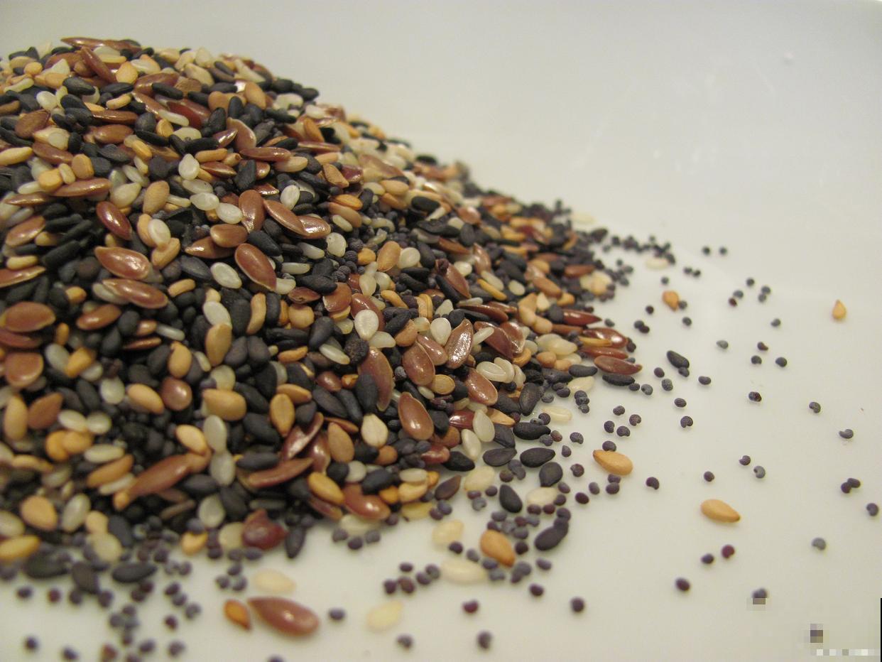 黑心菊什么时候播种比较好