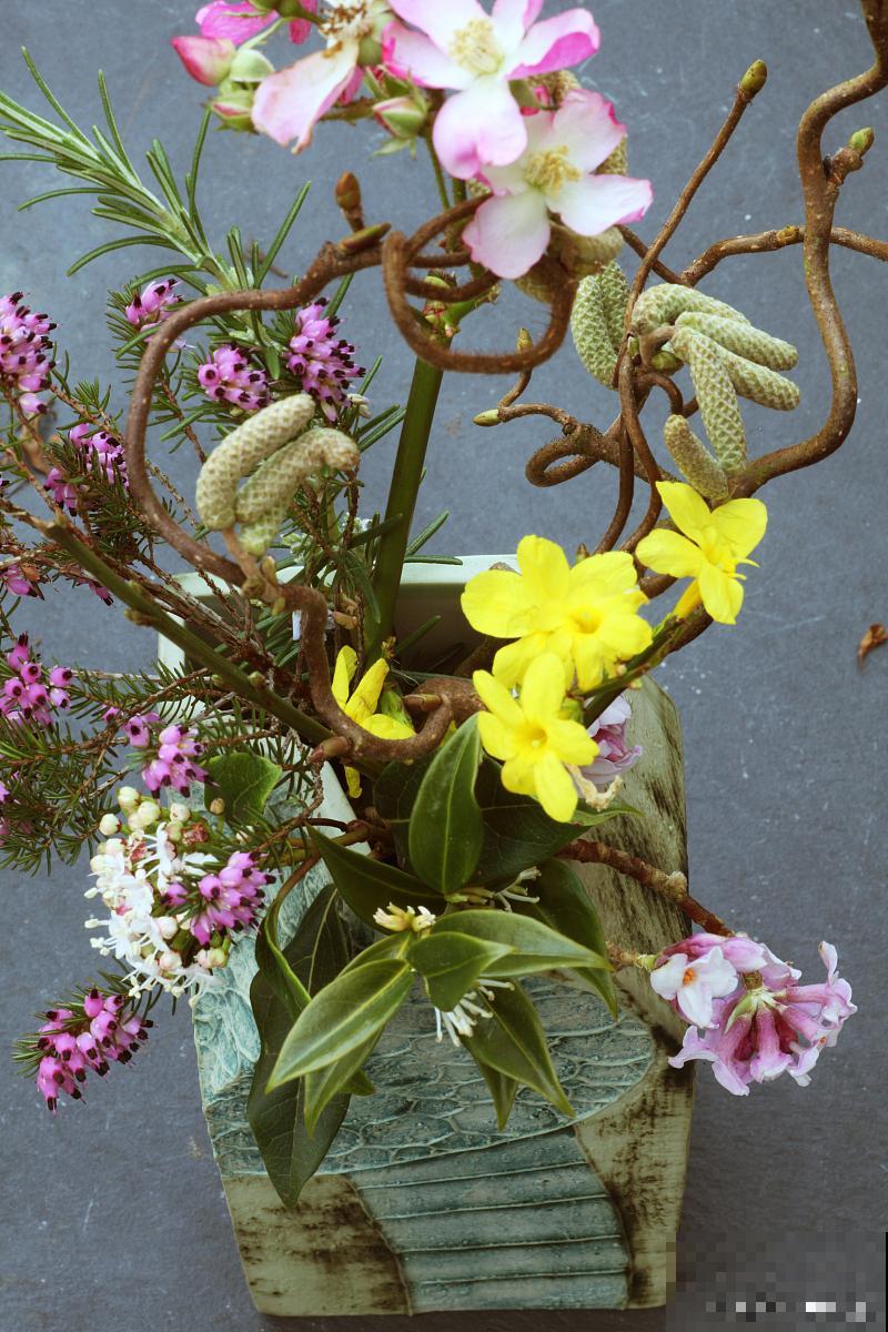 红泼墨石斛的养殖方法