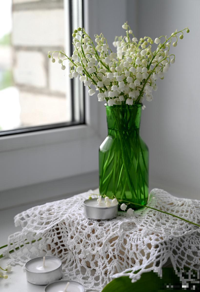 铃兰盆栽怎么种? 铃兰盆栽怎么种?