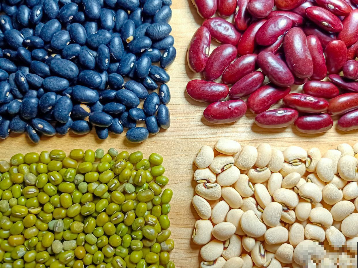 鸡蛋壳适合哪些植物