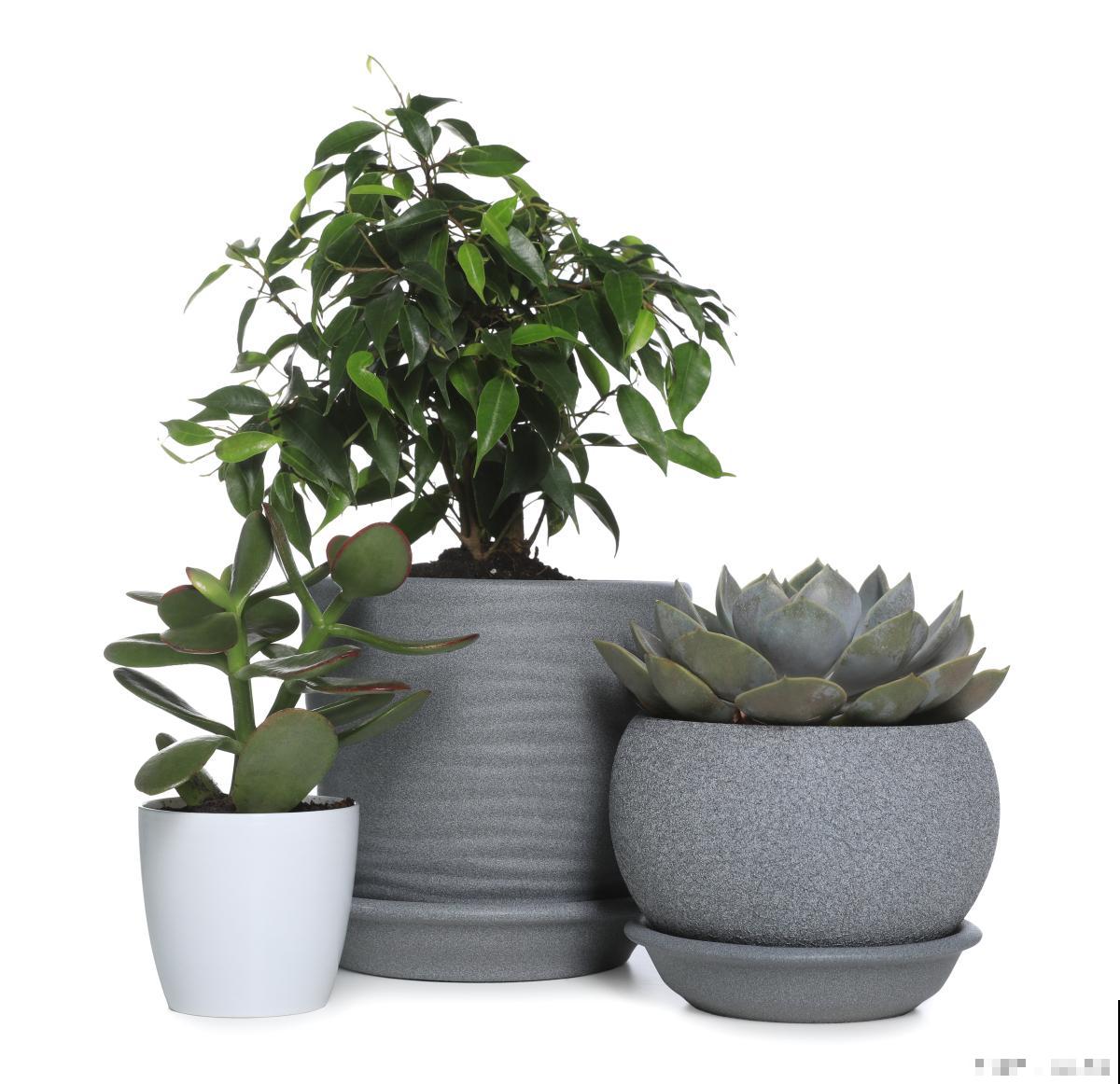 倒盆是什么意思？