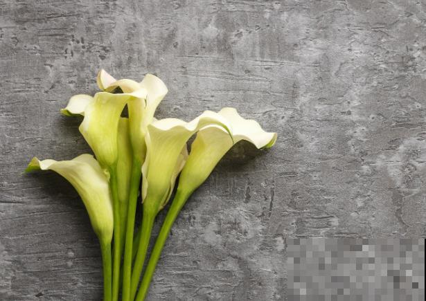 鲜花要想放的更长久，这3步要知道，学会延长两三天