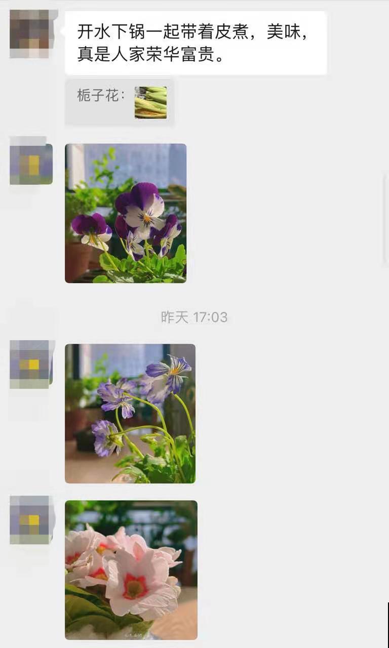 想找一个晒花、聊天的群，赶紧来看看这篇文章！