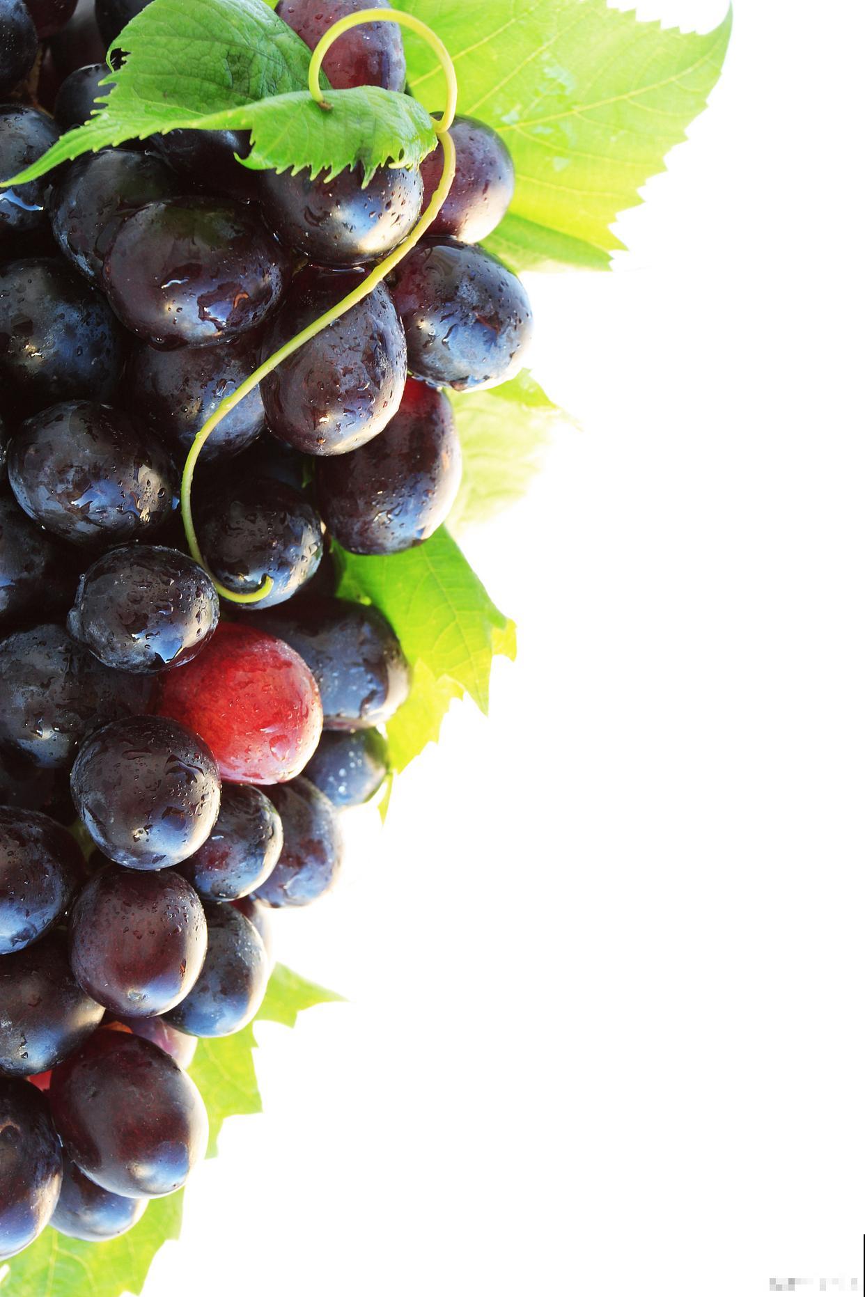 葡萄开花后怎么剪枝