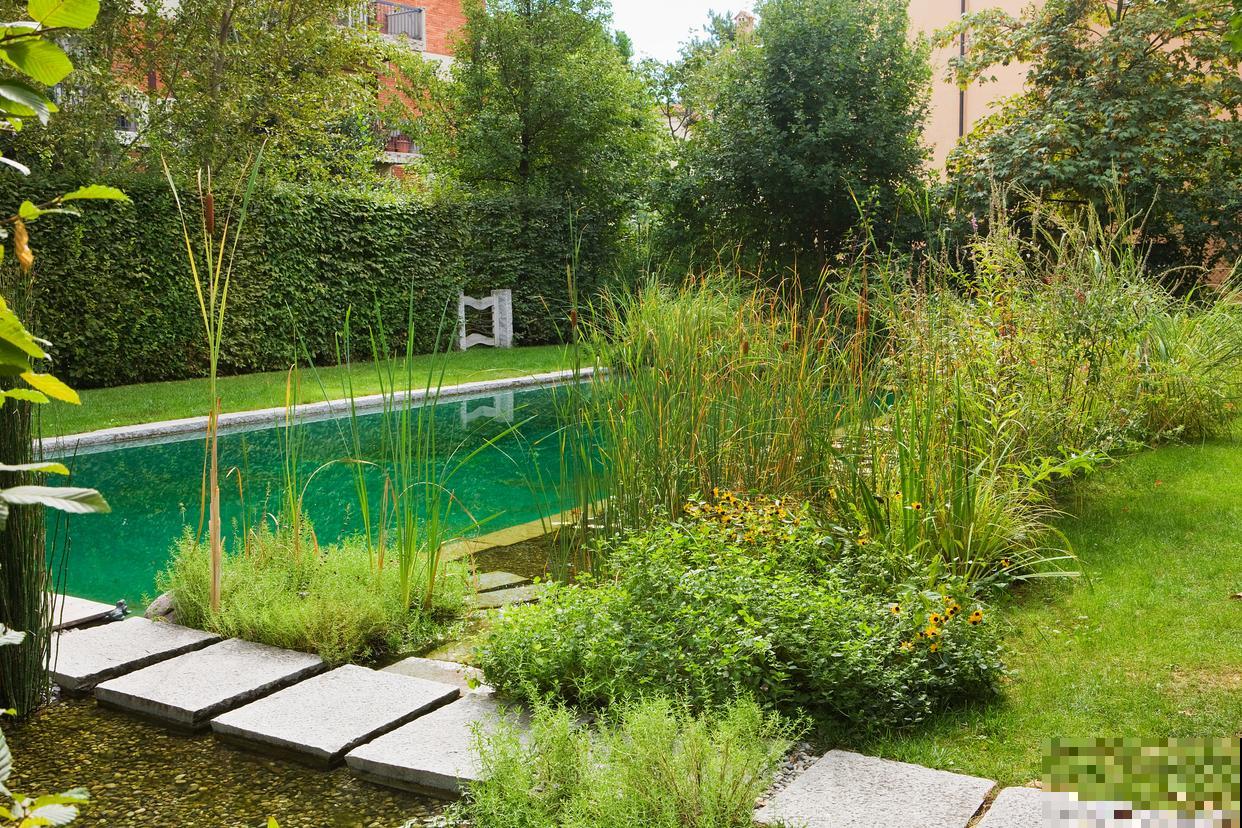 龟甲龙怎么繁殖？