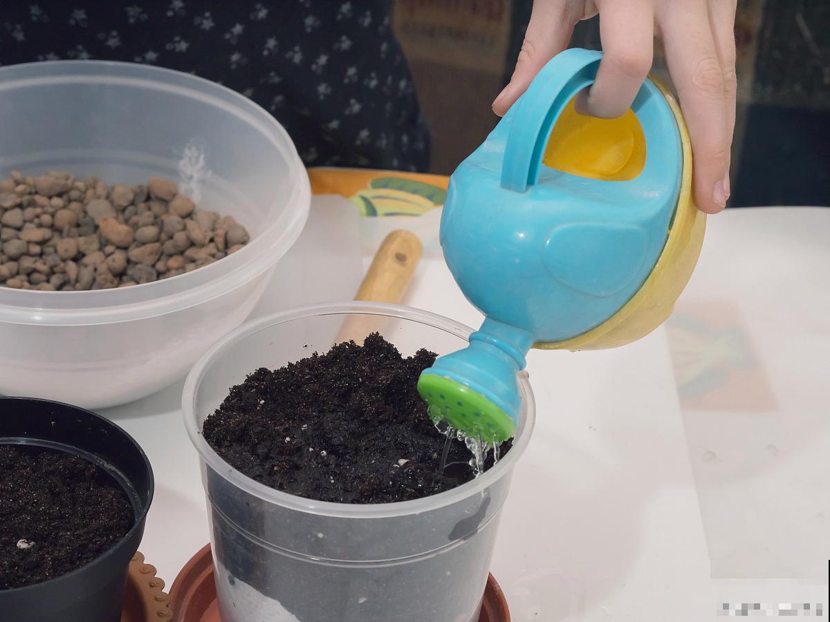 自制肥料如何不臭 自制肥料如何不臭