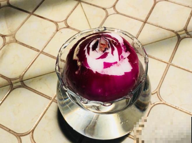 发芽的洋葱不要扔，学会这5步，变成盆栽观赏好