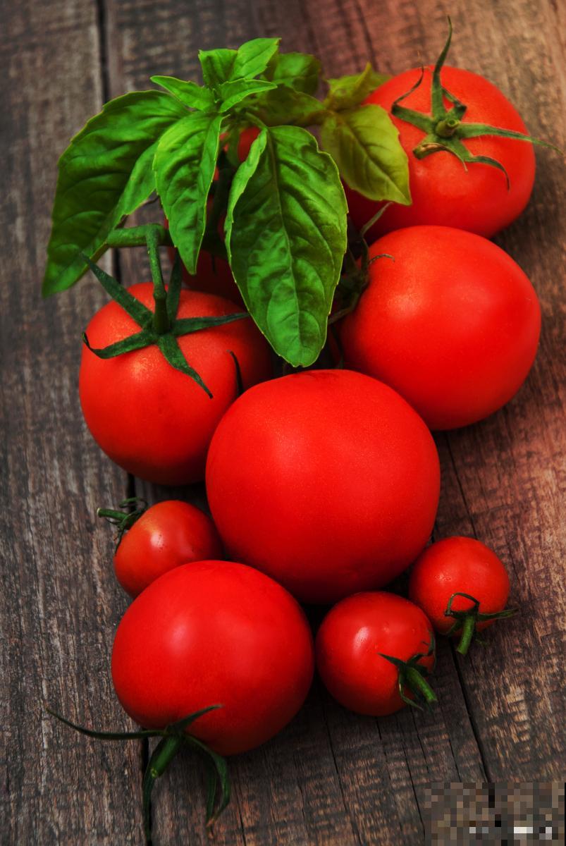 春天种植的蔬菜有哪些 春天种植的蔬菜有哪些