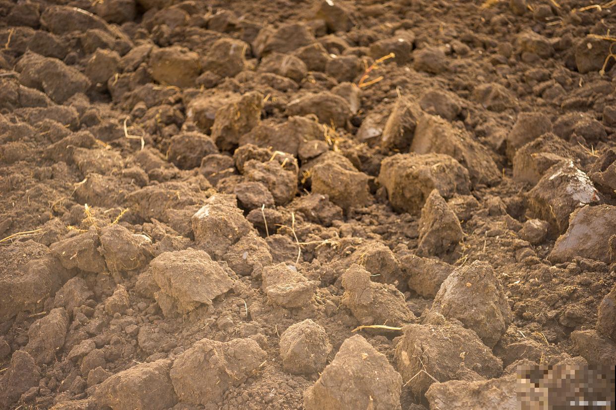 碱性土有哪些种类