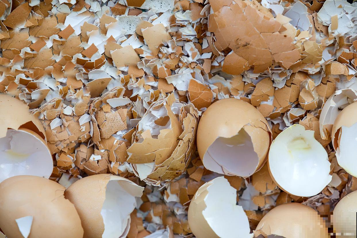 蛋壳是什么肥啊？