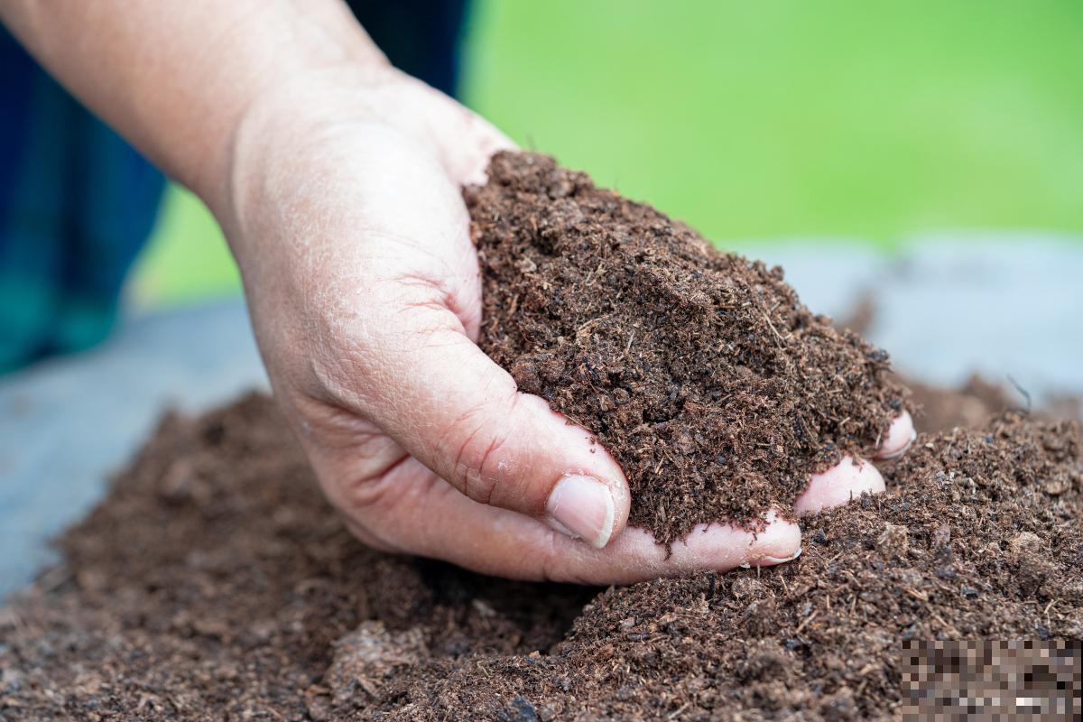 怎么做酵素肥料？