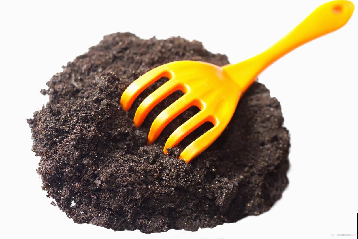 柿子树用什么肥料最好