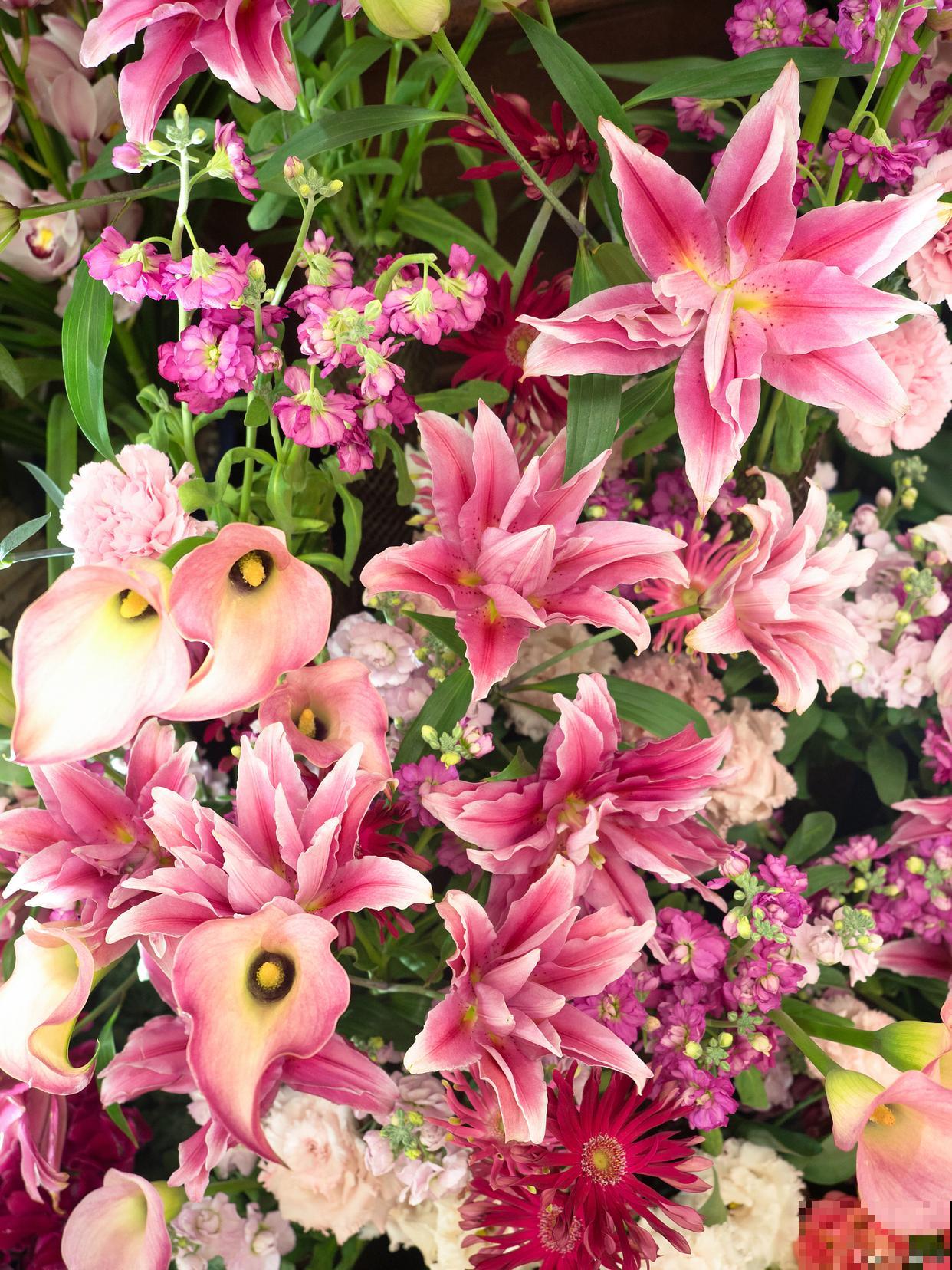 网上买回来的花怎么种