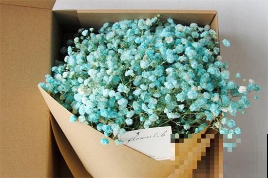 满天星的花语和寓意图片内容
