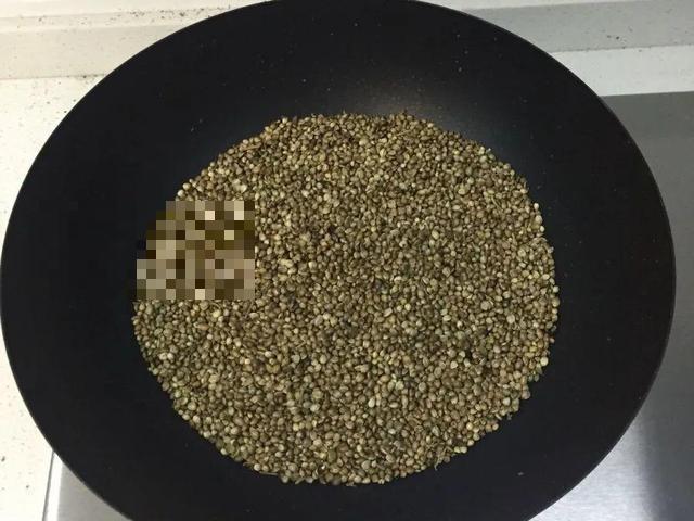 这花吃了鱼肥肠，叶子绿的滴油，3年不用换盆！